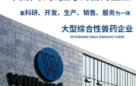 中国口碑最好的兽药企业，值得信赖！【汇邦兽药】