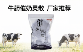 牛药催奶灵散厂家推荐,汇邦兽药怎么样?