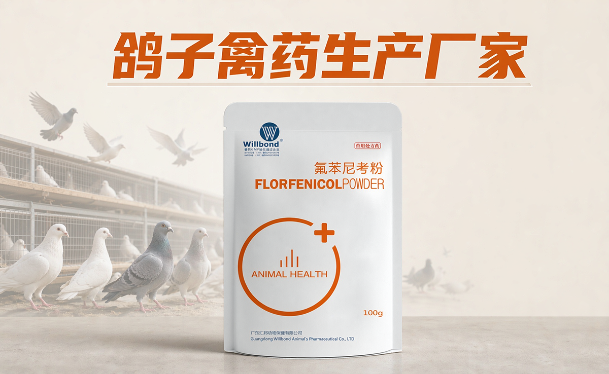 鸽子禽药生产厂家，广东汇邦兽药。