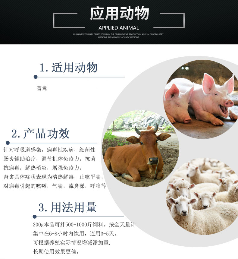 畜禽应用动物.jpg