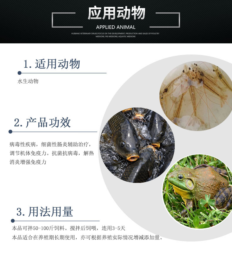水产应用动物羊.jpg