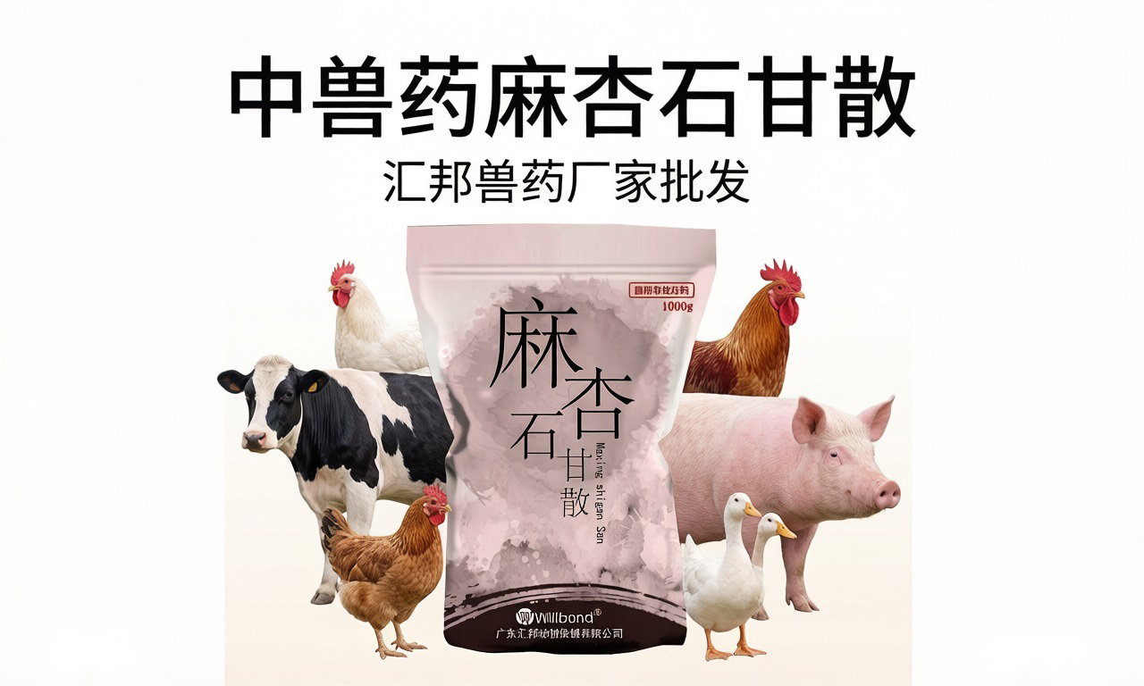 1772173235307607.jpg 18.jpg