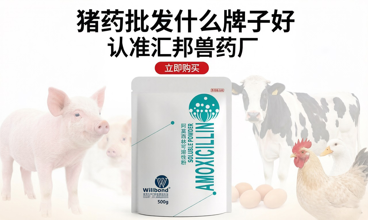 1773978526638565.jpg 48.jpg