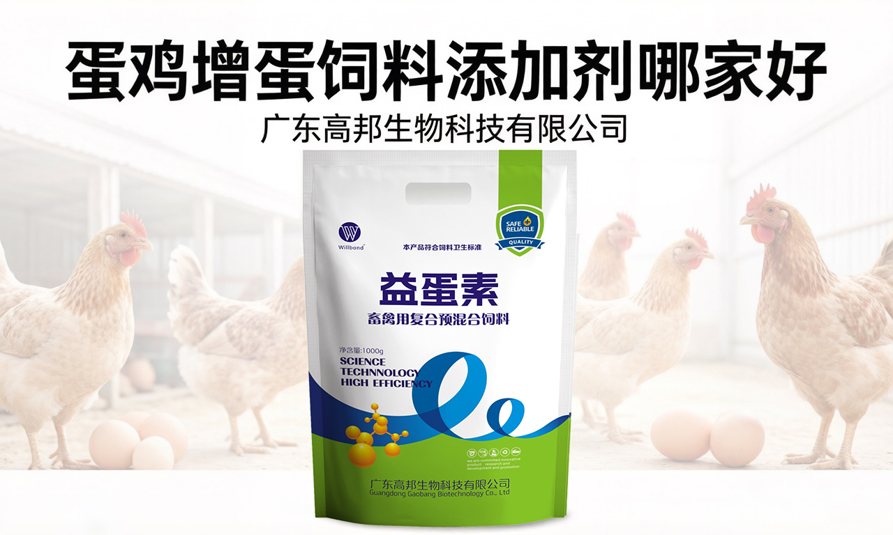 1774072331194132.jpg 49.jpg