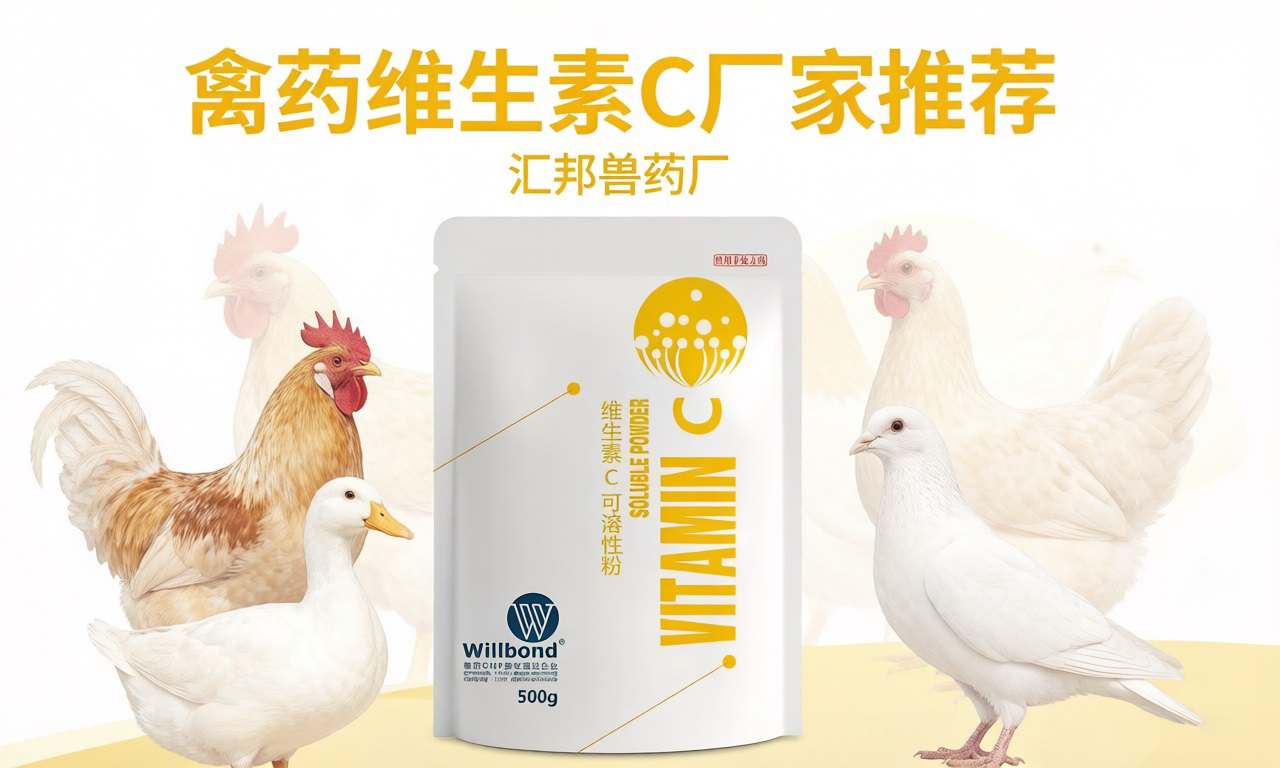 1775620376119124.jpg 78.jpg