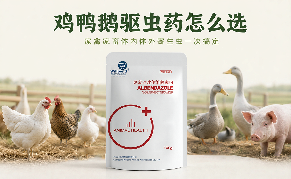 1792640479369224.png 357.png